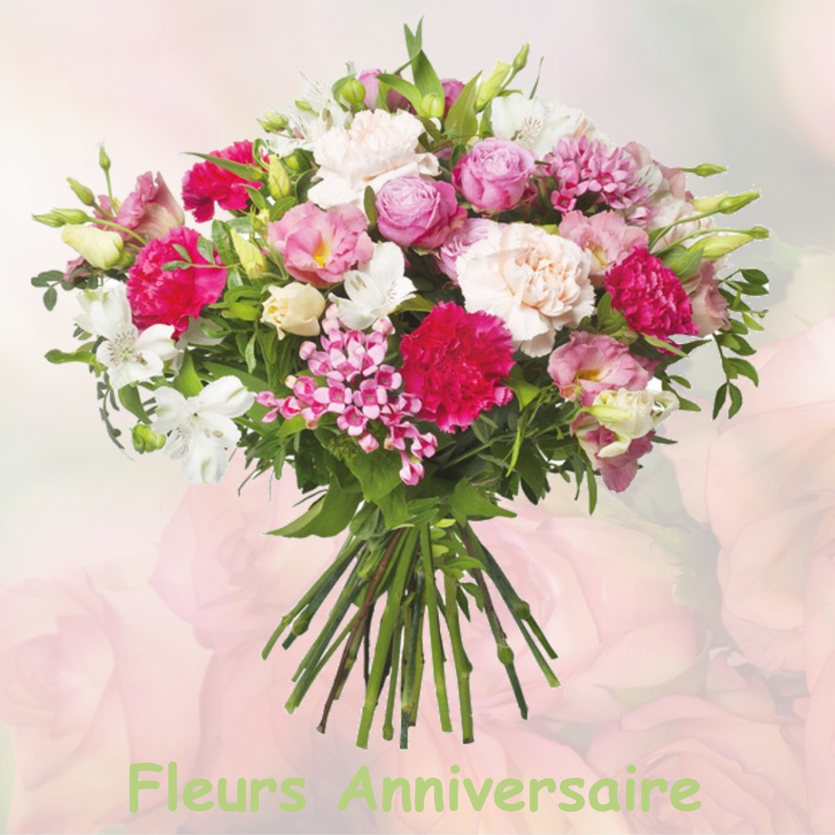 fleurs anniversaire AULNAY-SOUS-BOIS